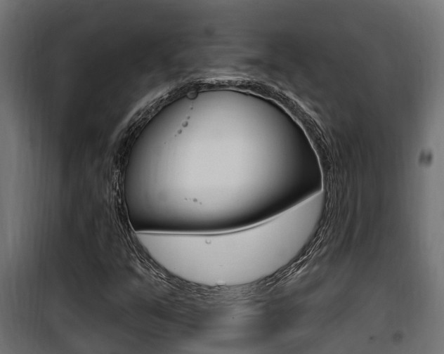 X0000100781351200806191007