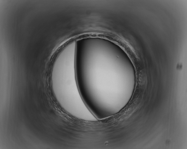 X0000100781352200806191007