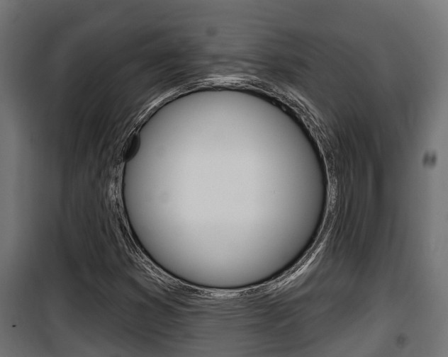 X0000100781353200806191007