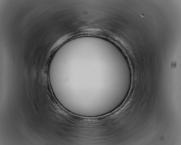 X0000100781354200806191007