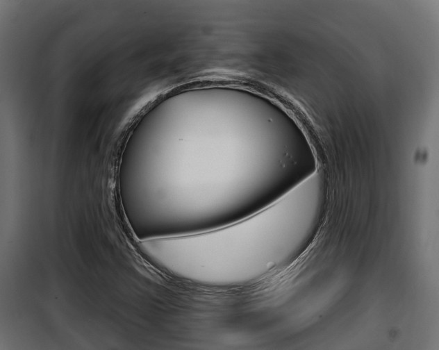 X0000100781355200806191007