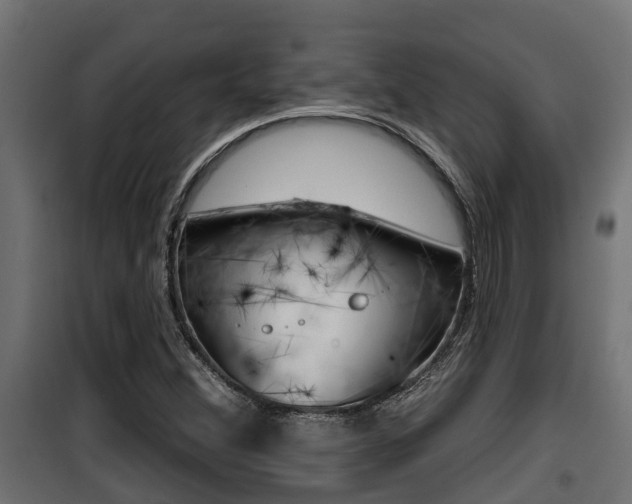 X0000100781356200806191007