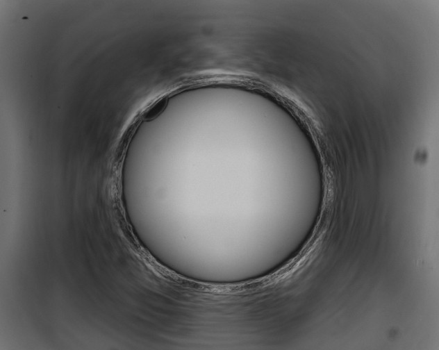 X0000100781357200806191007