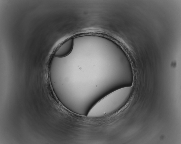 X0000100781358200806191007