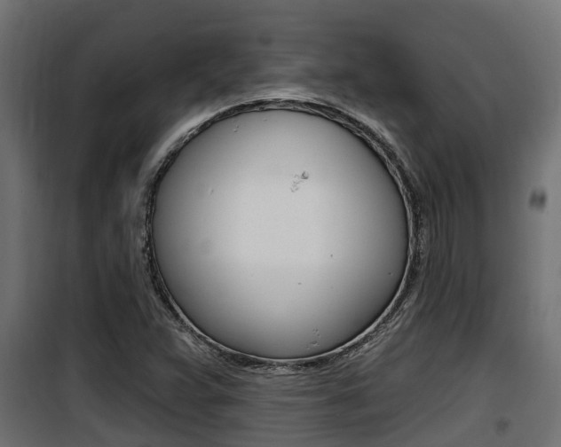 X0000100781359200806191007
