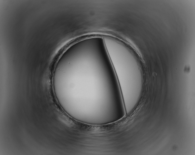 X0000100781360200806191007