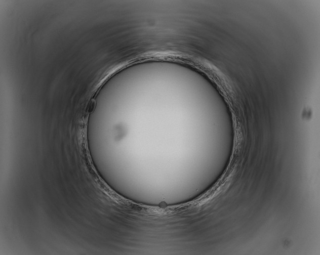X0000100781361200806191007