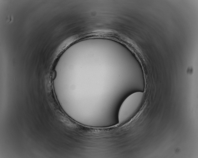 X0000100781362200806191007