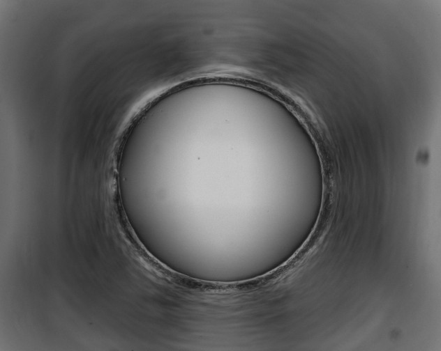 X0000100781363200806191007