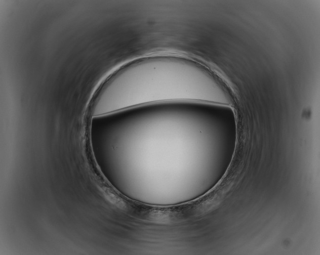 X0000100781364200806191007