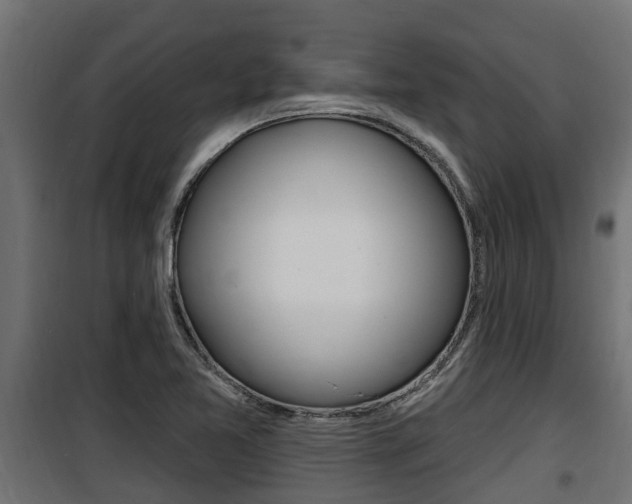 X0000100781365200806191006