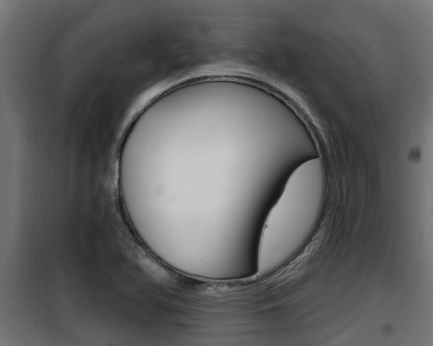 X0000100781366200806191006