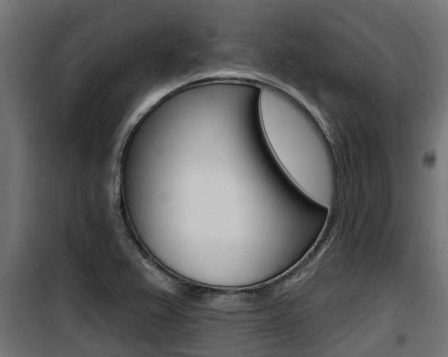 X0000100781367200806191006