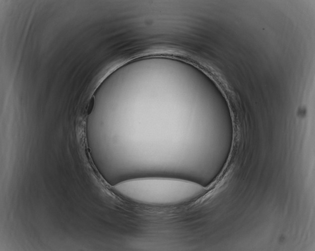 X0000100781369200806191006