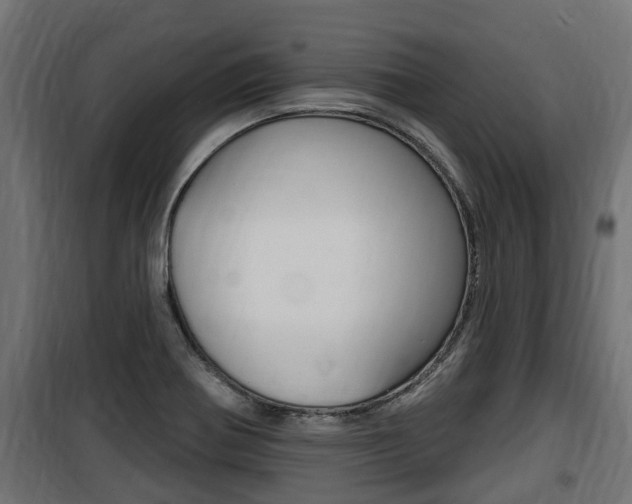 X0000100781370200806191006