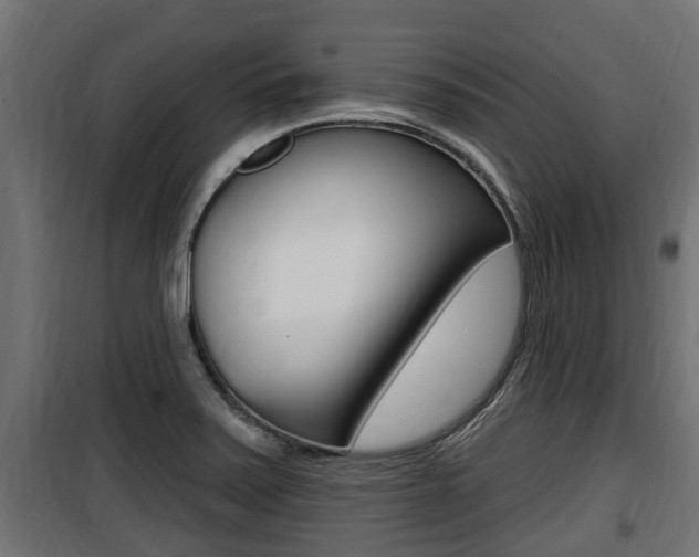 X0000100781371200806191006
