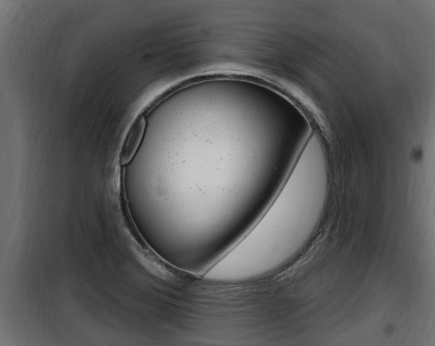 X0000100781372200806191006
