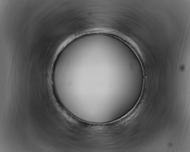 X0000100781373200806191006