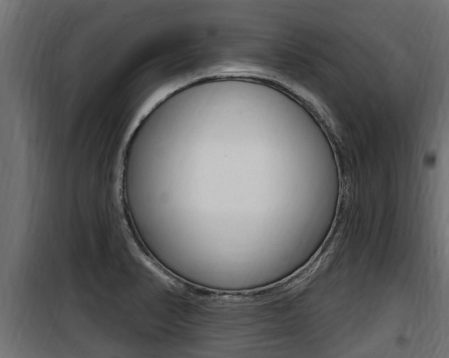 X0000100781374200806191006