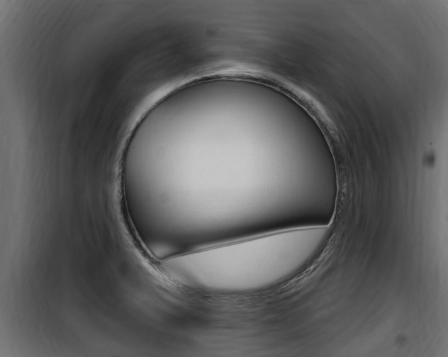 X0000100781375200806191006