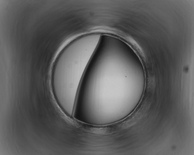 X0000100781376200806191006