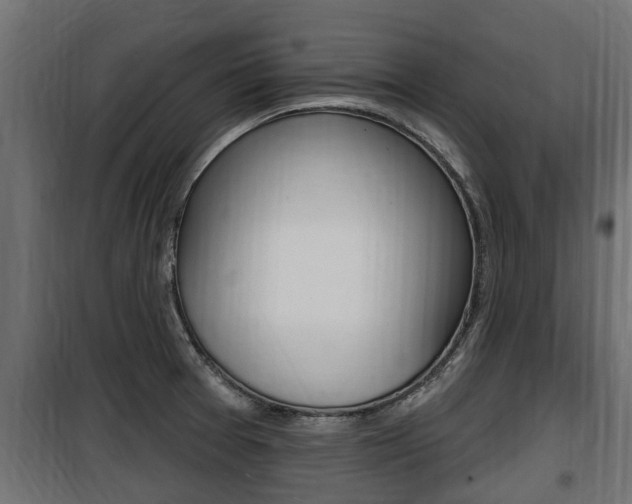 X0000100781377200806191006