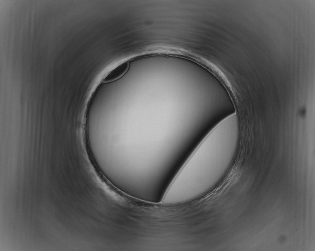 X0000100781379200806191006