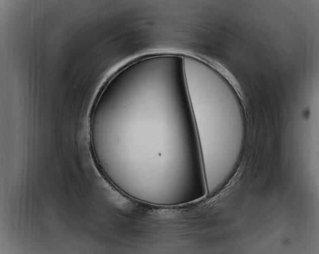 X0000100781380200806191006