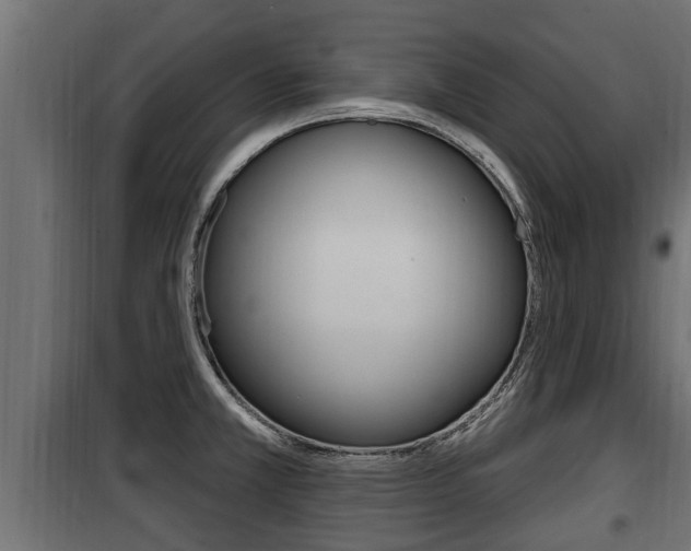 X0000100781381200806191006