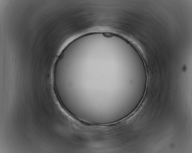 X0000100781382200806191006