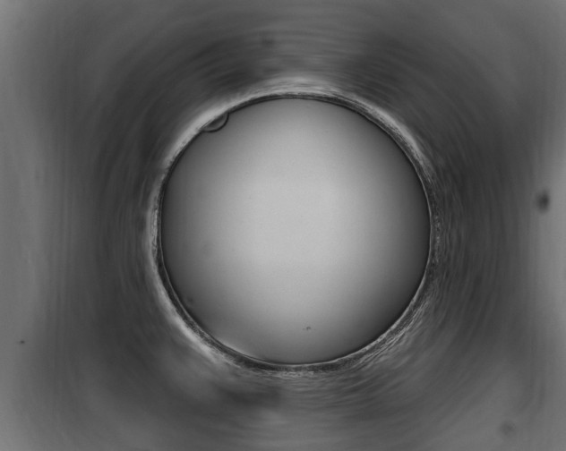 X0000100781383200806191006