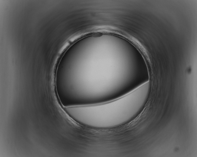 X0000100781384200806191006