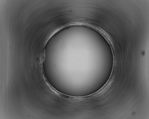 X0000100781385200806191006