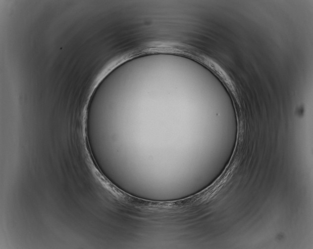 X0000100781386200806191006