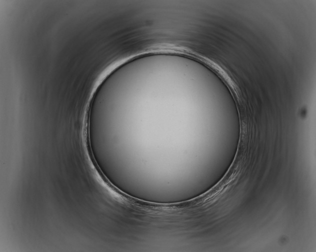 X0000100781387200806191006