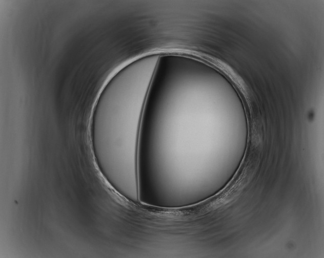 X0000100781388200806191006