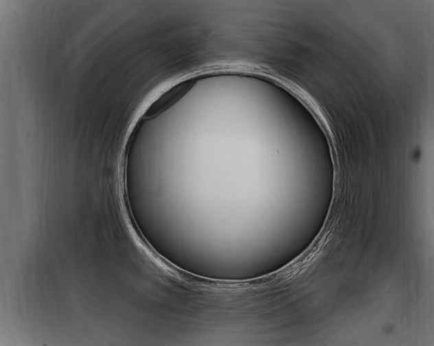 X0000100781389200806191006
