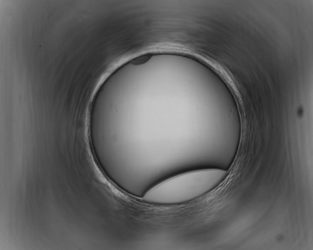 X0000100781390200806191006