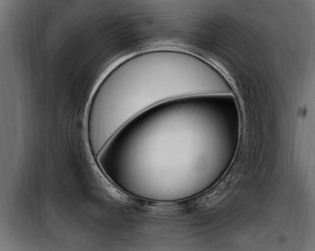 X0000100781392200806191006