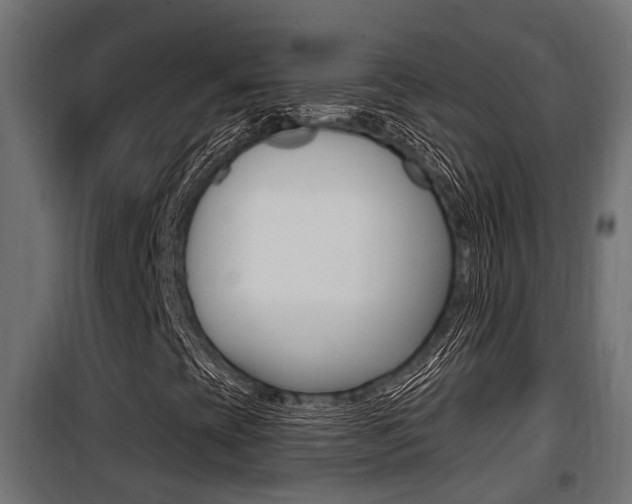 X0000100781393200806191005