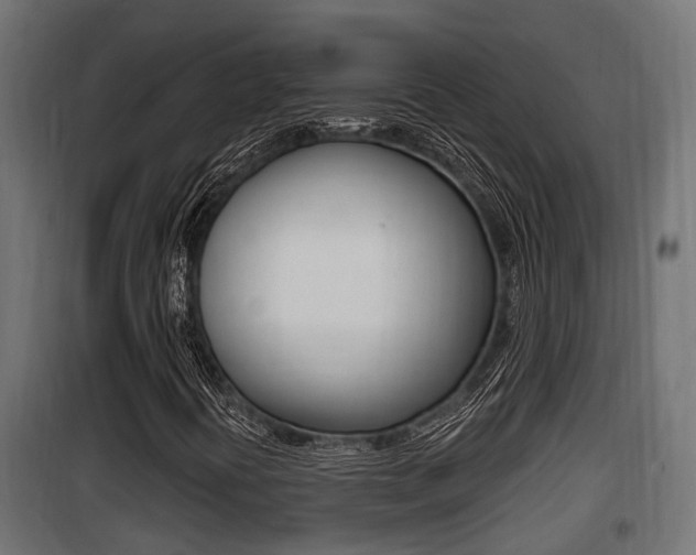 X0000100781394200806191005