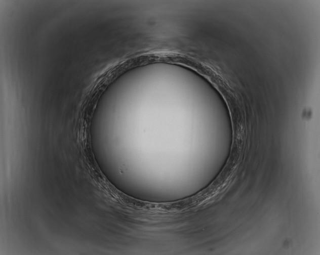 X0000100781398200806191005