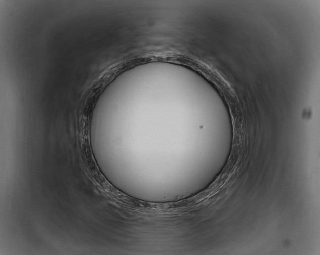 X0000100781399200806191005