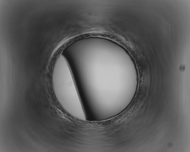 X0000100781400200806191005