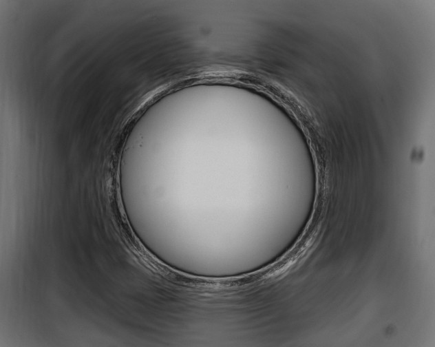 X0000100781401200806191005