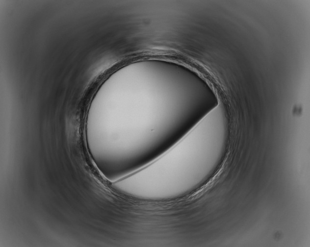 X0000100781402200806191005