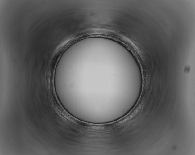 X0000100781403200806191005