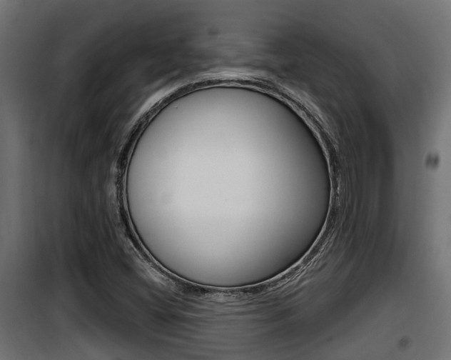 X0000100781404200806191005