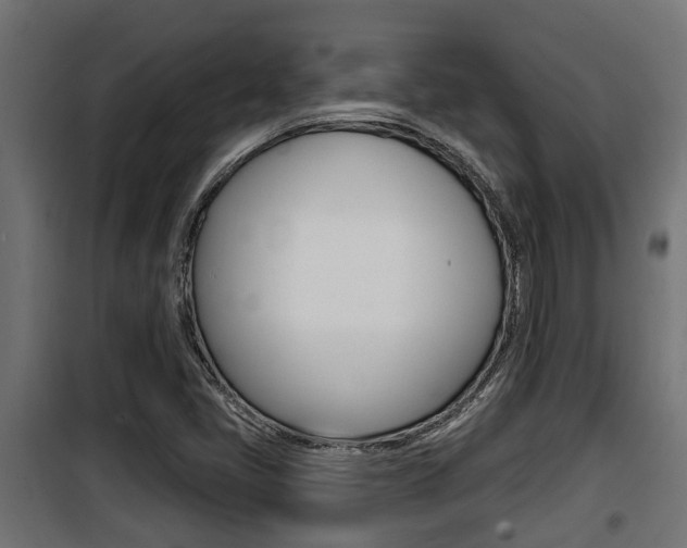 X0000100781405200806191005
