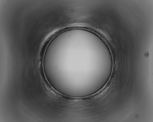 X0000100781406200806191005
